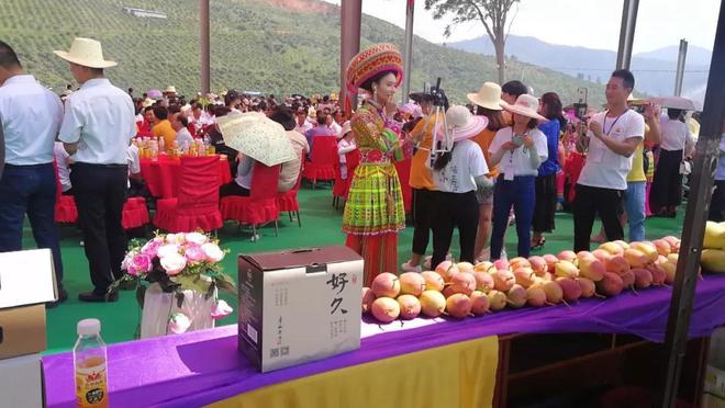 南宫NG·娱乐(中国)官方网站芒果酒 桑葚酒 蓝莓酒 ……这个秋天一起微醺在华坪(图1)